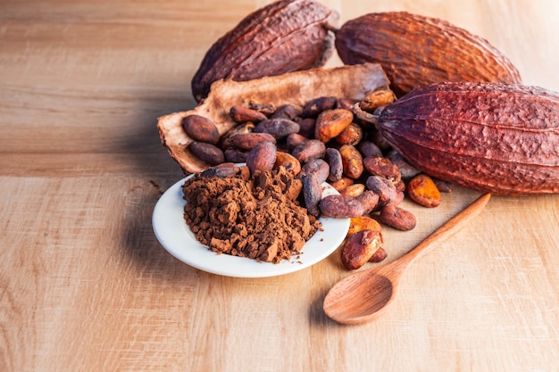 Cocoa powder and cocoa beans with cocoa pods on wooden table.