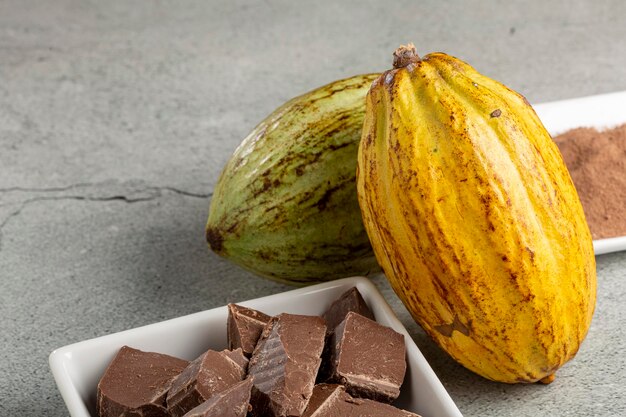 Cocoa with chocolate pieces and chocolate powder on the table