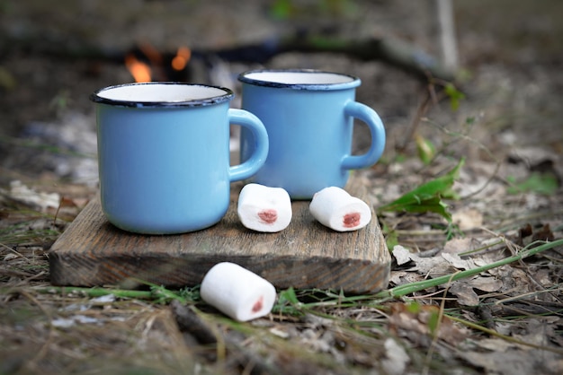 Cocoa with marshmallow in mugs on the ground