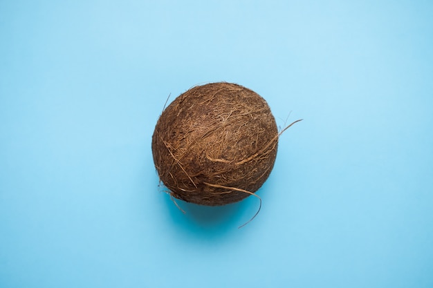 Coconut on blue surface