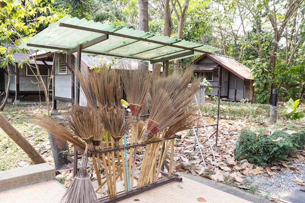 Coconut Broom in garden