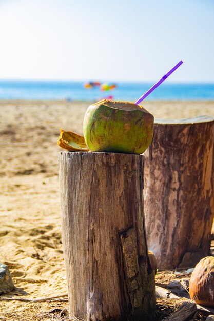 Coconut cocktail on the beach