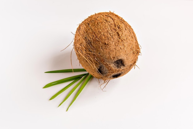 Coconut and coconut leaf on white background