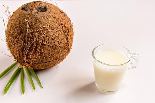 Coconut and coconut milk on white background