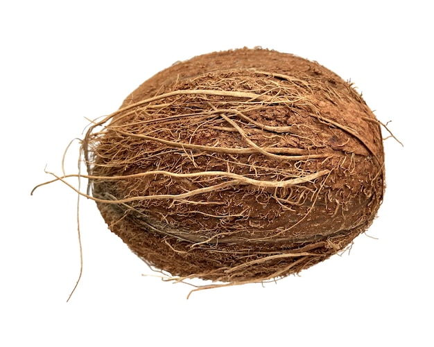 Coconut empty  shells  isolated on white background.