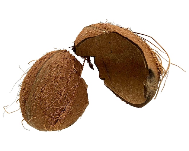 Coconut empty  shells  isolated on white background.