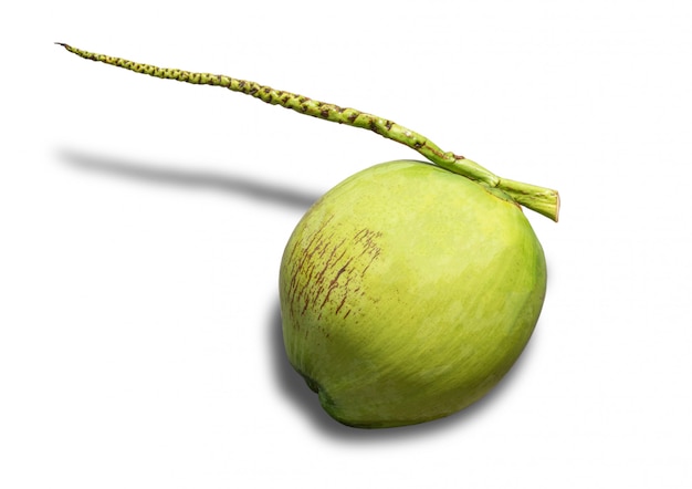 Coconut fruit isolated