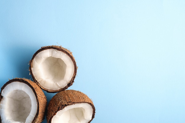 Coconut fruits on blue vibrant plain surface, abstract food tropical concept, top view copy space