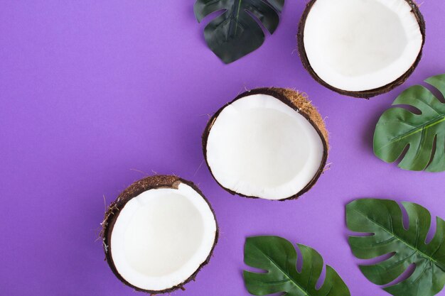 Coconut halves and palm leaves on violet