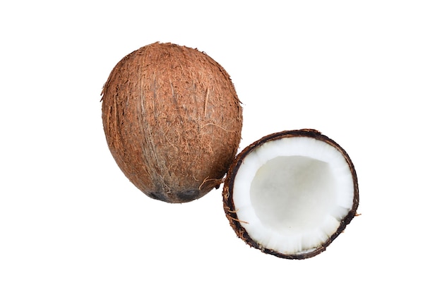 Coconut isolated on white background. Space for text or design.