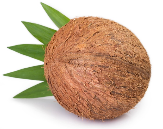 Coconut isolated on white background