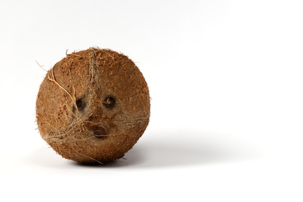 Coconut isolated on white background