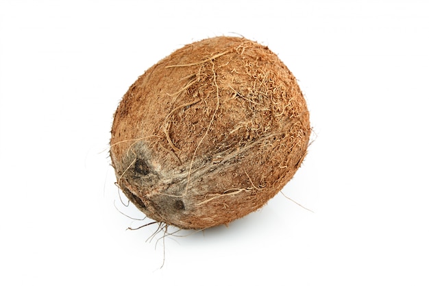 Coconut isolated on white surface