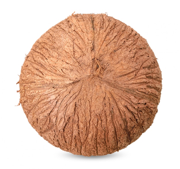 Coconut isolated on white with clipping path