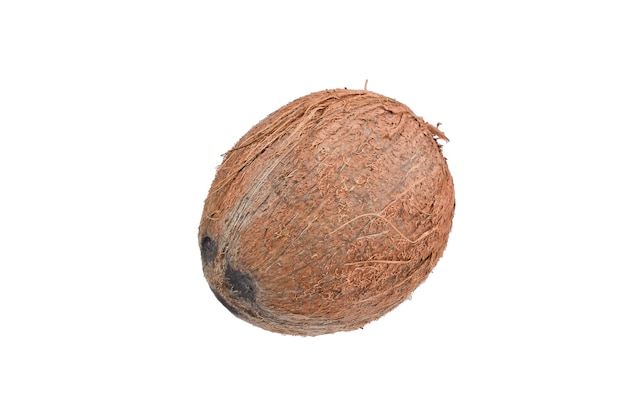 Coconut isolated on white.