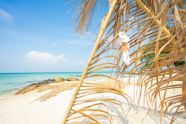 coconut leaf arch on the beach, summer vacation relaxing time