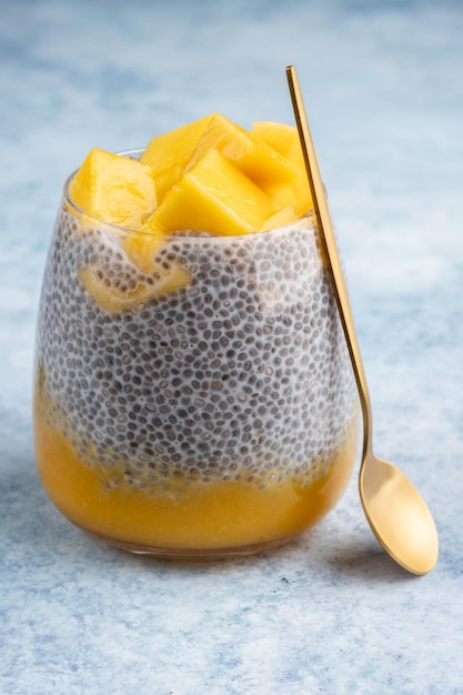 Coconut milk Chia seed pudding with mango puree and fresh mango