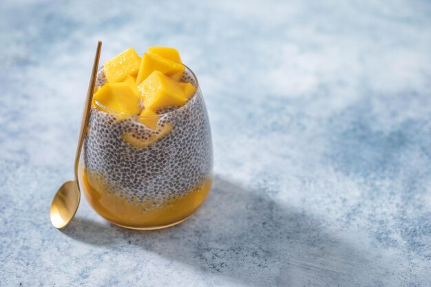 Coconut milk Chia seed pudding with mango puree and fresh mango