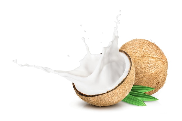 Coconut milk splashing isolated on white background