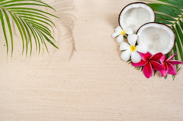 coconut on palm leaf at the beach. Summer background.