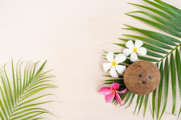 Coconut on palm leaf at the beach.