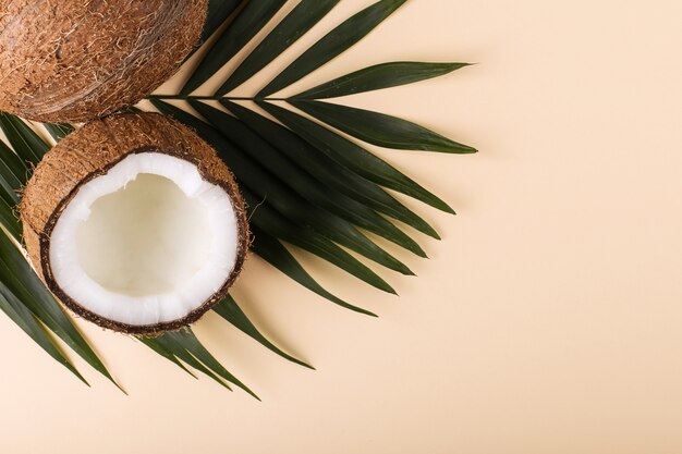 Coconut and palm leaves, copy space. Summer mood, tropical, blank.