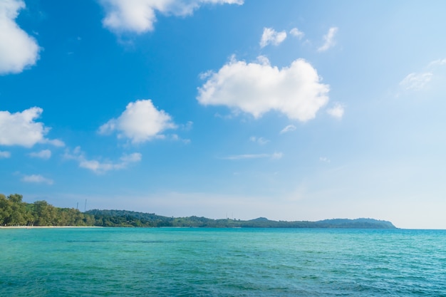 Coconut palm tree on the beach and sea