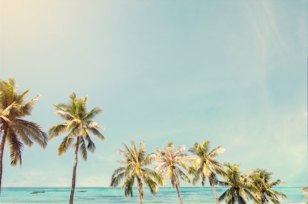 Photo coconut palm tree on beach in summer - vintage color effect