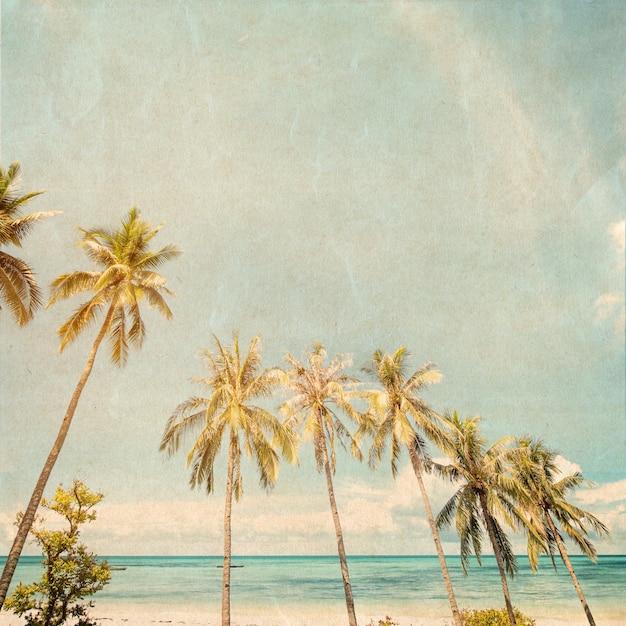 Vintage Beach Aesthetic Images - Free Download on Freepik
