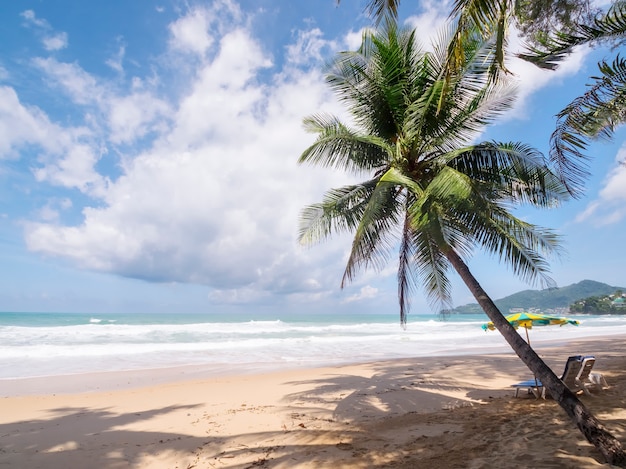 ココナッツ椰子の木と熱帯の海夏休みと熱帯のビーチのコンセプト