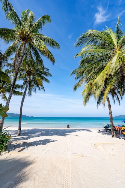 Coconut palmbomen en turquoise zee in phuket patong beach. Zomer natuur vakantie en tropisch strand achtergrond concept Verticaal.
