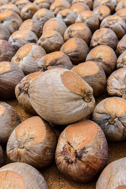 Coconut Perfume snijdt het hoofd voor rassen