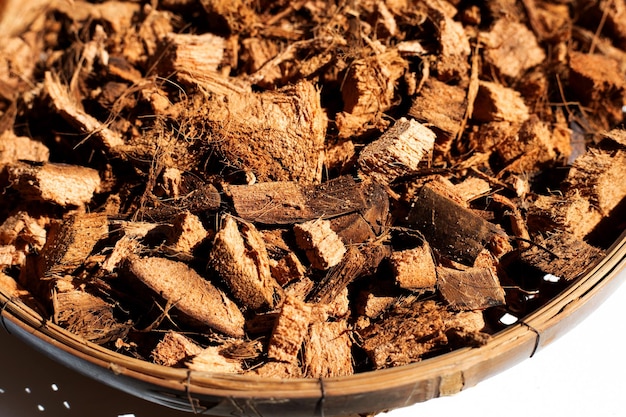 coconut shell's hair for planting