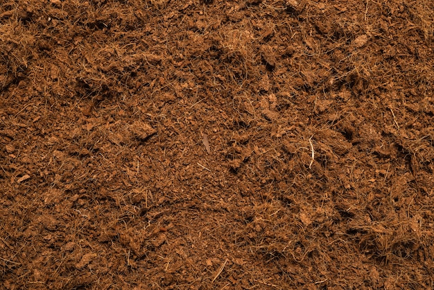 Coconut substrate background. Top view.