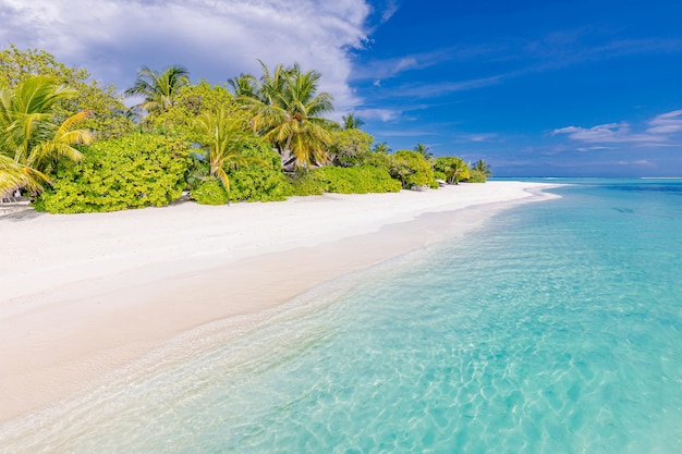 열대 해변의 코코넛 나무 잎, 놀라운 바다 석호, 해변의 이국적인 해안선 풍경. 꿈