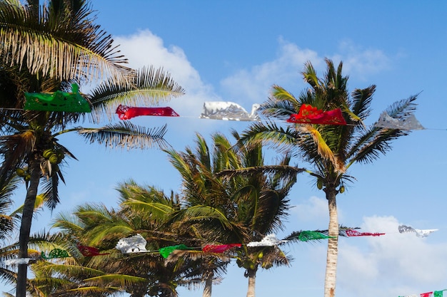 Coconut trees decorated for distanation wedding.