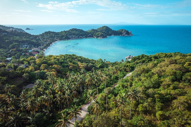 Coconut trees on the island and the sea on a summer morning from above