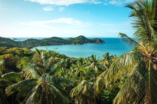 Кокосовые пальмы на острове и море летним утром сверху