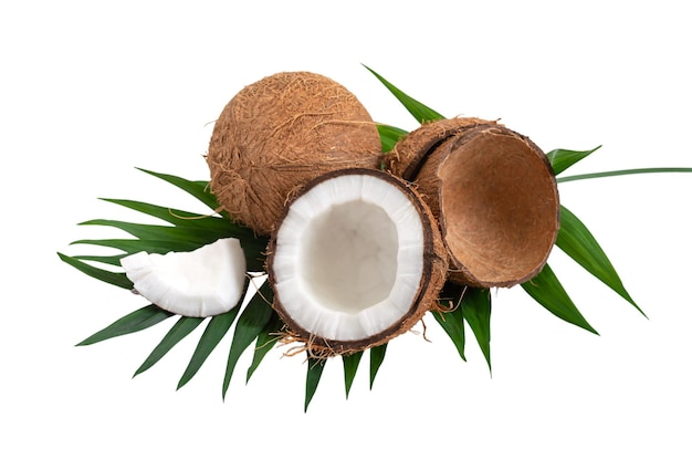 Coconut on a white background isolated