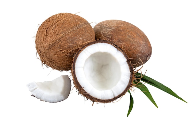 Coconut on a white background isolated