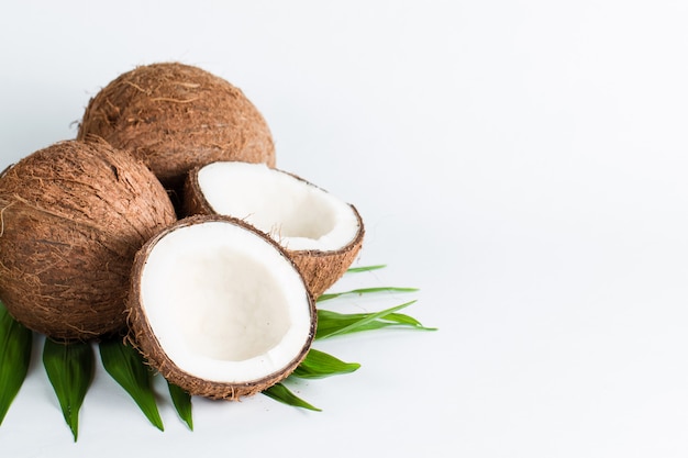 Coconut on white background