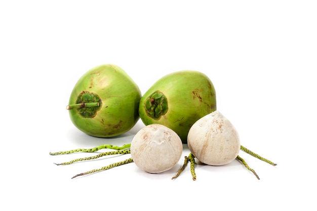 coconut on white background