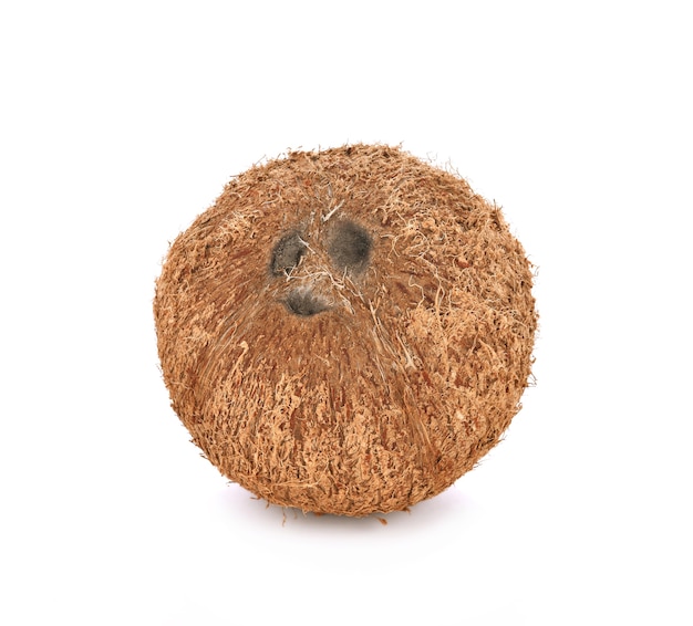 Coconut on white background