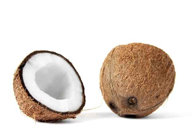 Noce di cocco su bianco. cocos nucifera