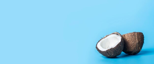 Coconut white. Two half opened coconut on a blue surface. Banner.