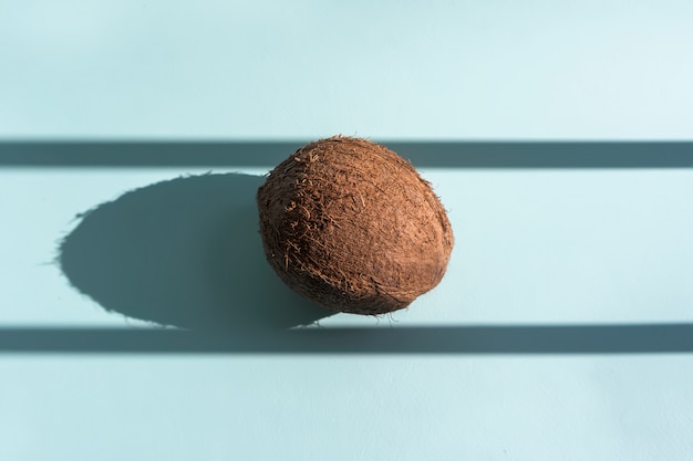 Coconut with shadows on blue background