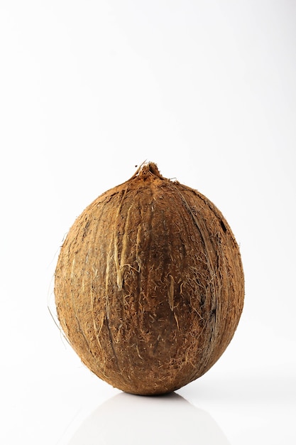 Photo coconut with white background