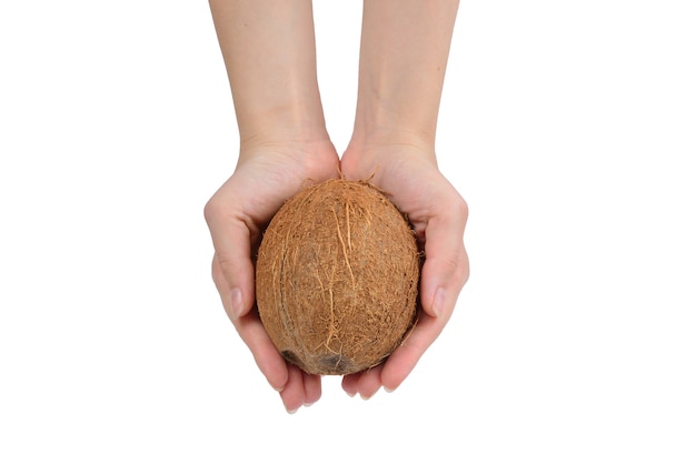 Coconut in woman hand isolated