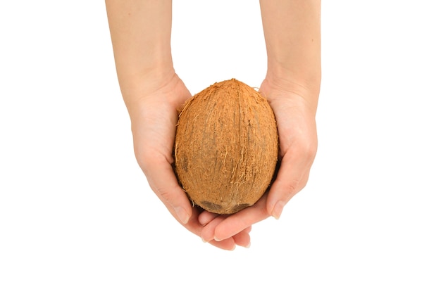 Coconut in woman and isolated on white background