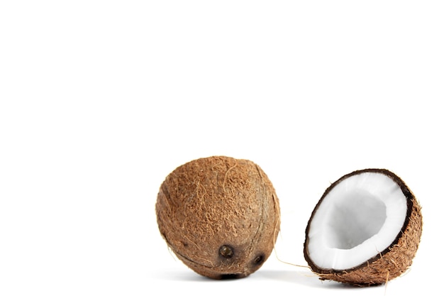 Coconut